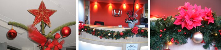 lechuza delta office plant displays